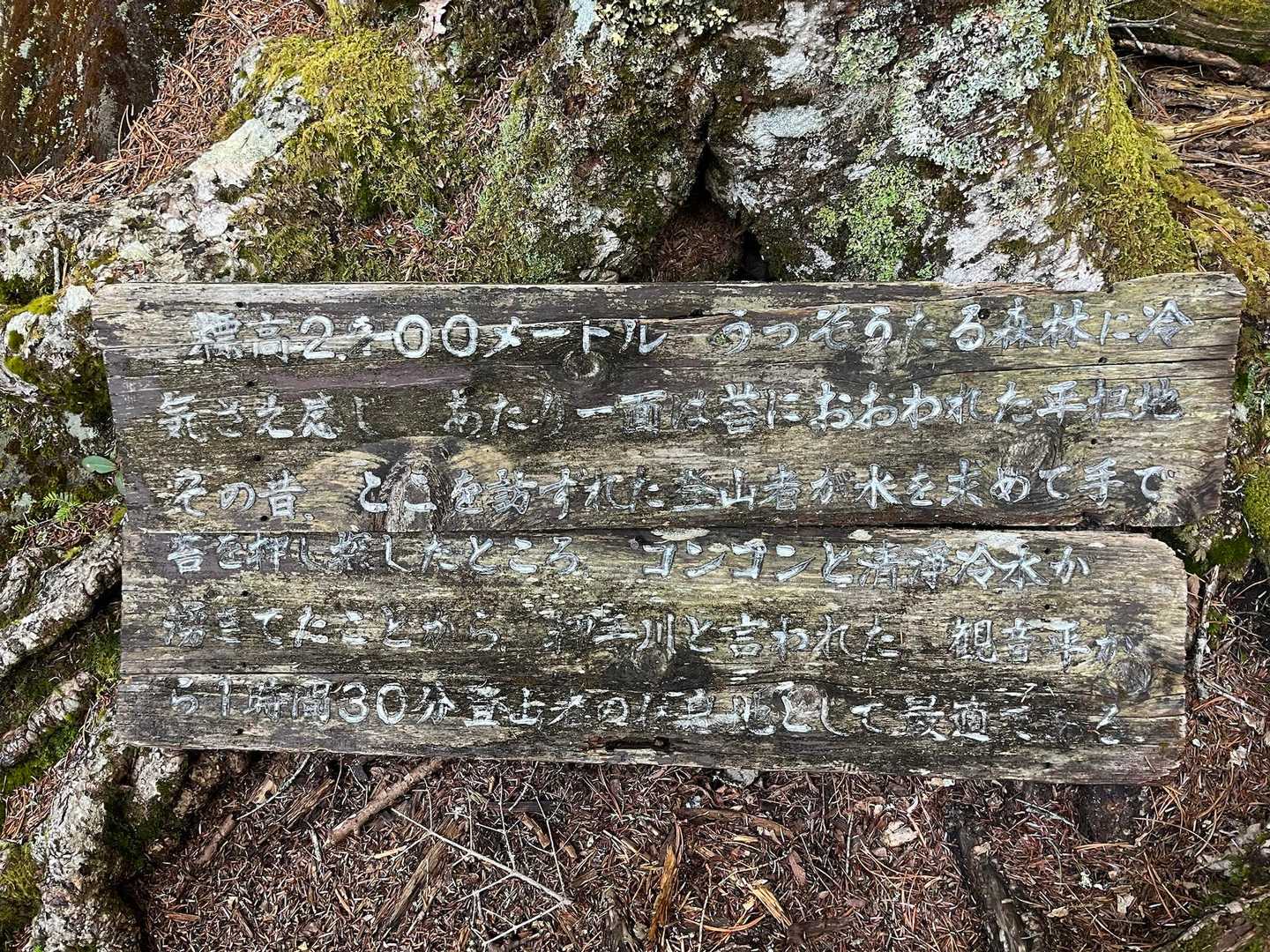 編笠山 往復コースの写真