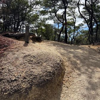 こちらは砂地になっている。滑りやすく注意