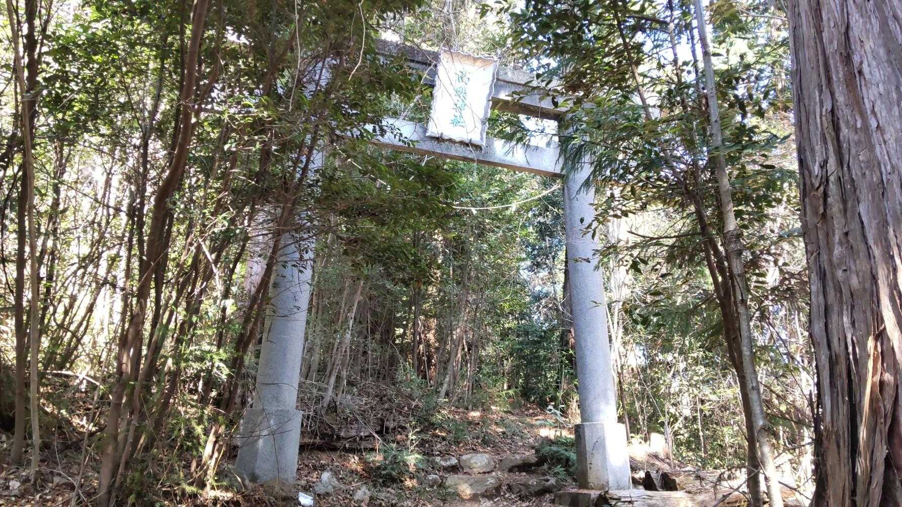 鳥居⛩️
