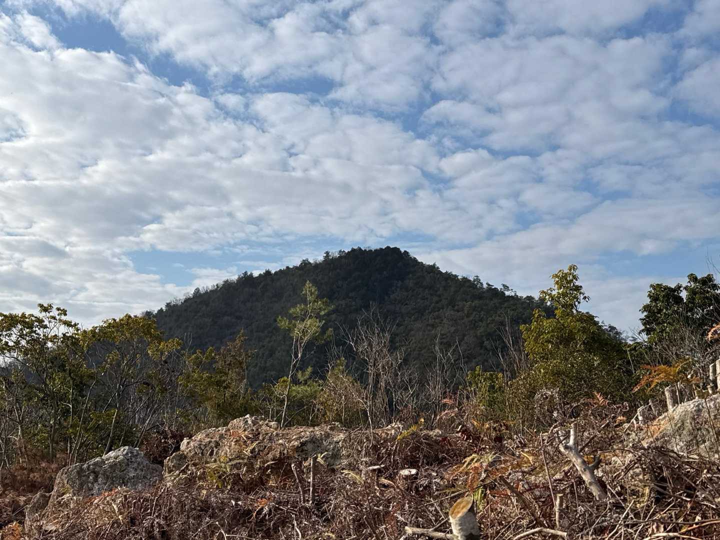次に行く岩田山かな⛰️🎶