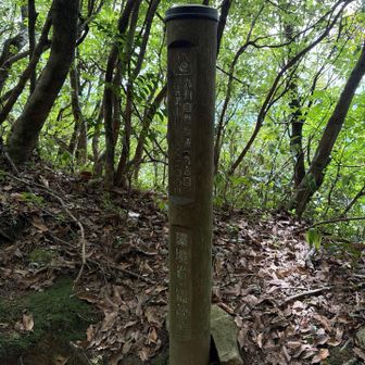 九合目
山頂まであと200ｍ