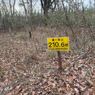番ヶ森山、標高210m
利府で一番高いお山だそう