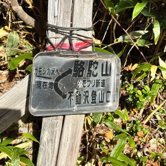シモフリ山へ⬅️