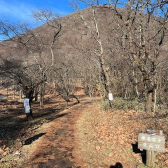 降りて来ました😊