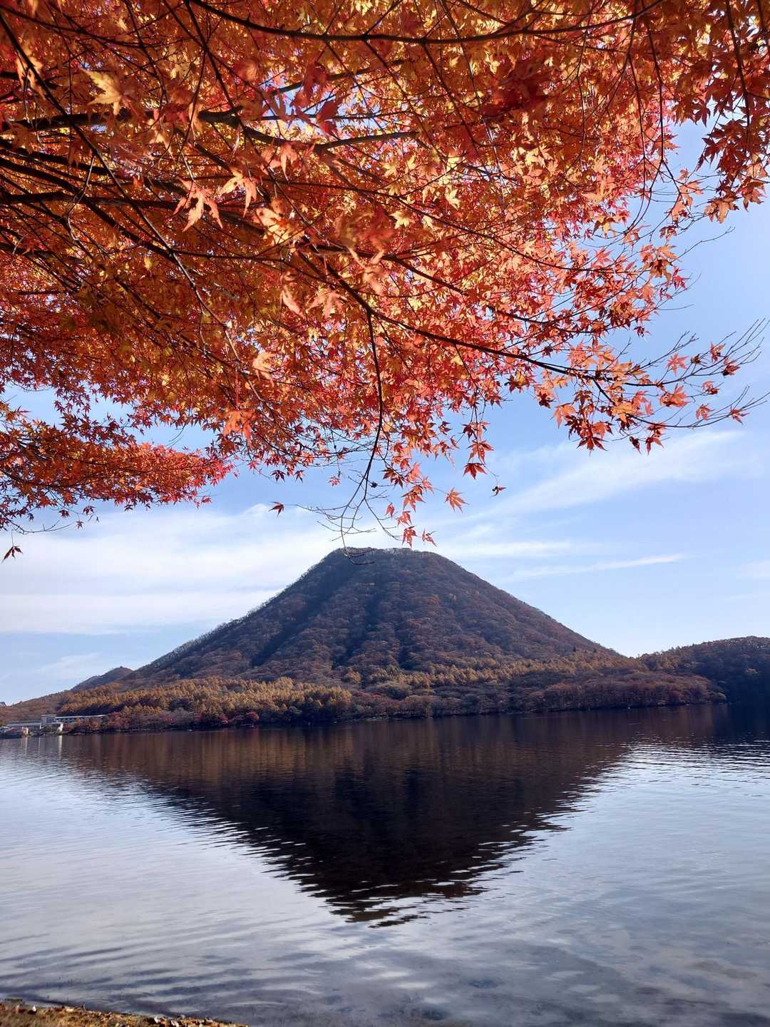 烏帽子岳登山口-烏帽子岳登山口バス停-榛名高原学校入口バス 周回コースの写真