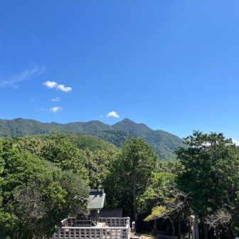 展望台登って山側(左側)