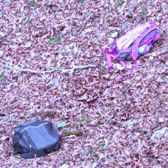 何があった？　その2