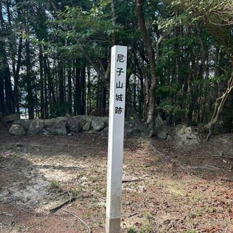 あったんですね〜