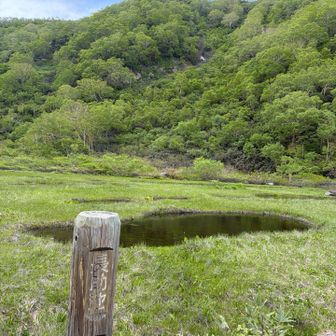 で
ようやく
🈁へ
地塘天国で
カエルの卵と
カエルの鳴き声
オンパレードやったw