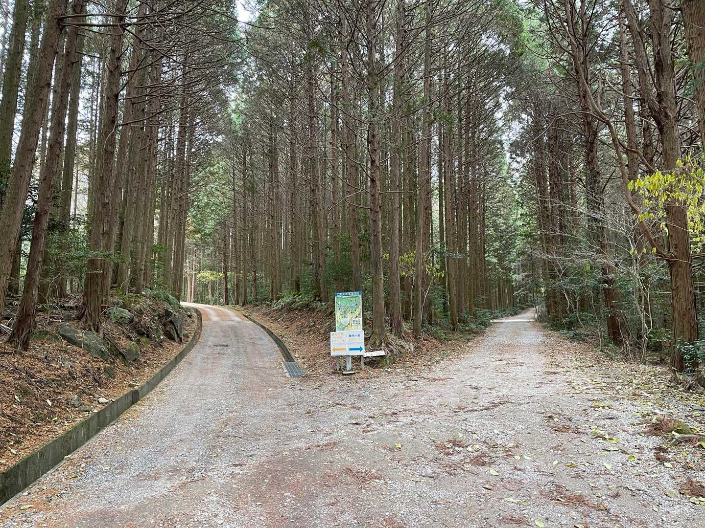 どれにしようかな、天の神様の言う通り
おっちぇけちぇーのちぇのちぇ、あぶら虫！

つか、ジーっと見ると飛び出す3D画像みたい😂