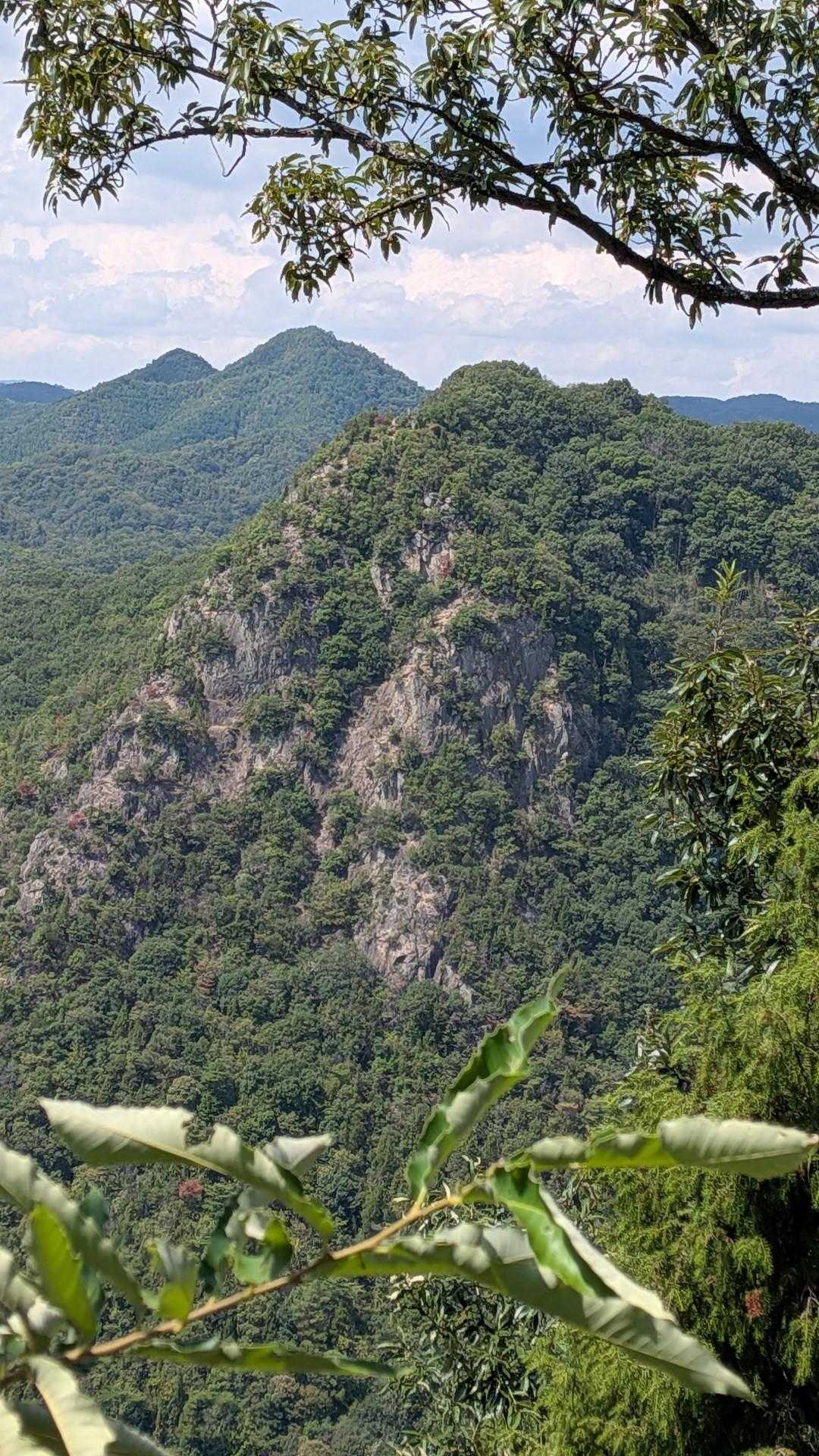新高山を望む👀