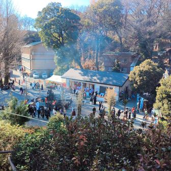富士塚より白子熊野神社を詣でる方々
成増駅と和光市駅の中間