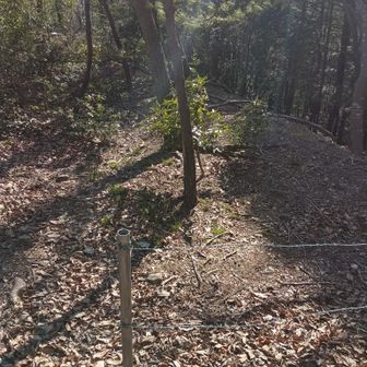 南側を振り向くと有刺鉄線。