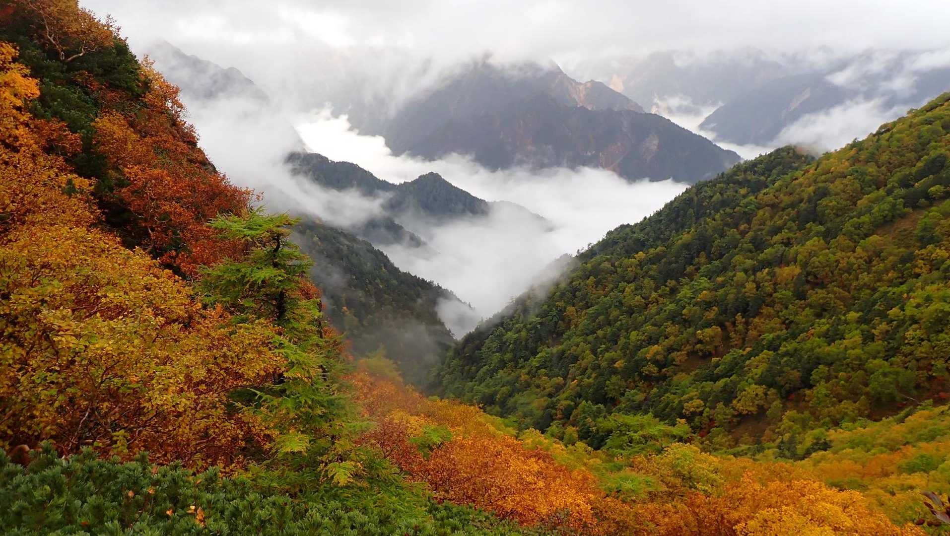 手前は紅葉、奥は水墨画のよう