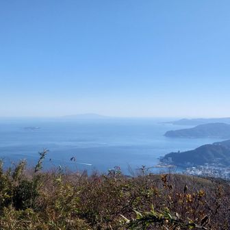 伊豆半島と相模湾がバッチリ