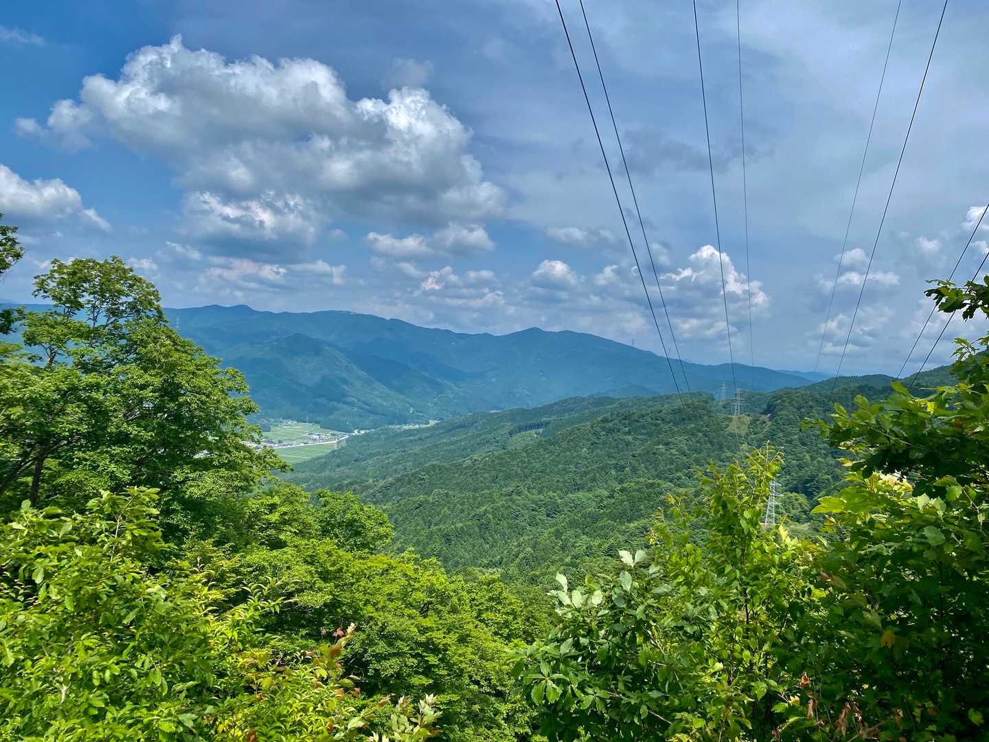 鉄塔からの📸