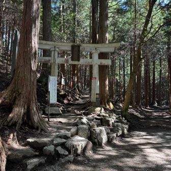 鳥居をくぐり妙法ヶ岳に向かいます
ここから登山道になります