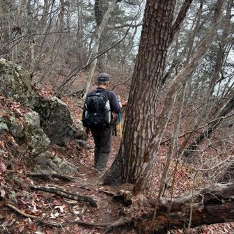 ガイドのお父さん🏔️