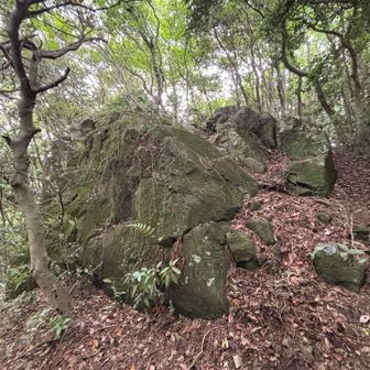 烏帽子岩、見えなくもない