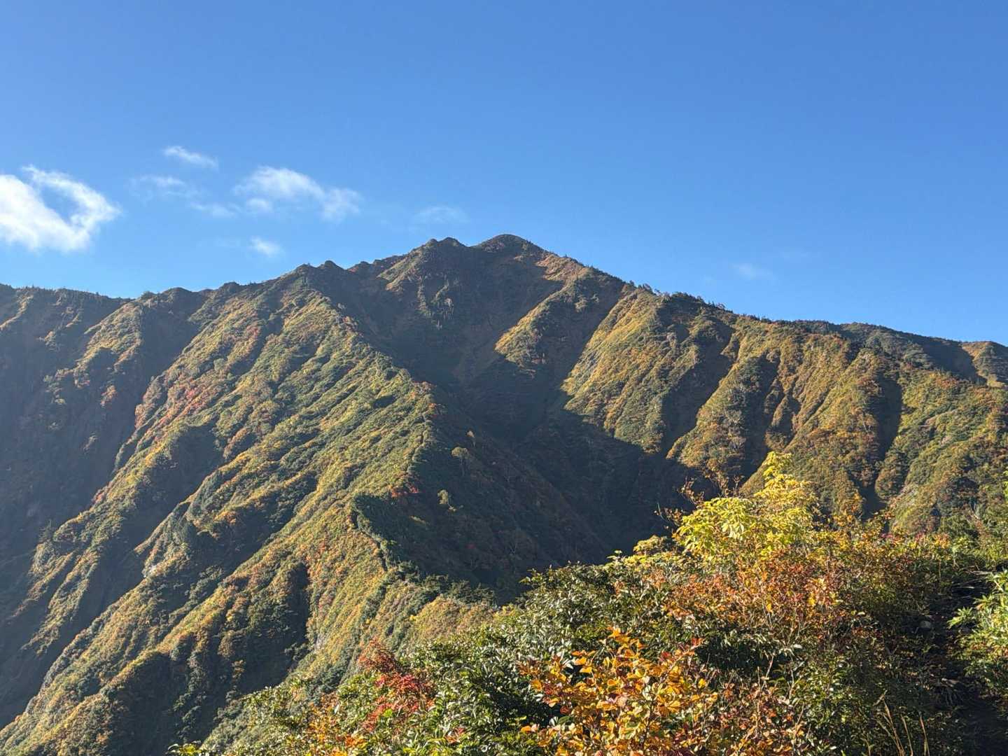 荒沢岳