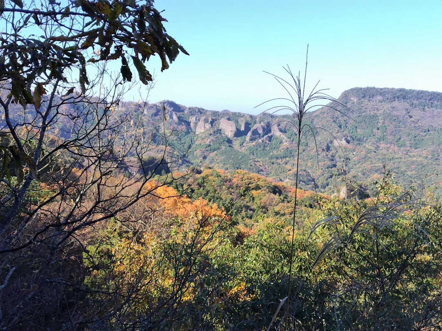 国東らしい独特の景色✨