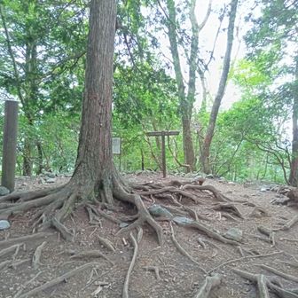 ノコギリ山山頂。