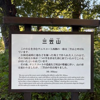 公園造成時に出た残土で作られた人工の山だった
