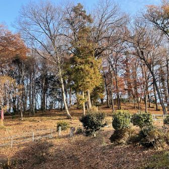 なだらかな丘？
古墳らしいです。