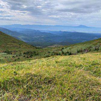 遠くに毛無岱と岩木山