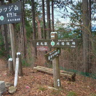 そしてここは正式山名がカタカナのツツジ山😂
この尾根一帯がツツジ推しなことだけは分かったが😁統一感がないからカオスに陥っている😆
ここまではかなりタフな道だったが私の大好物な変な看板のおかげで苦しさが紛れたよ🤣