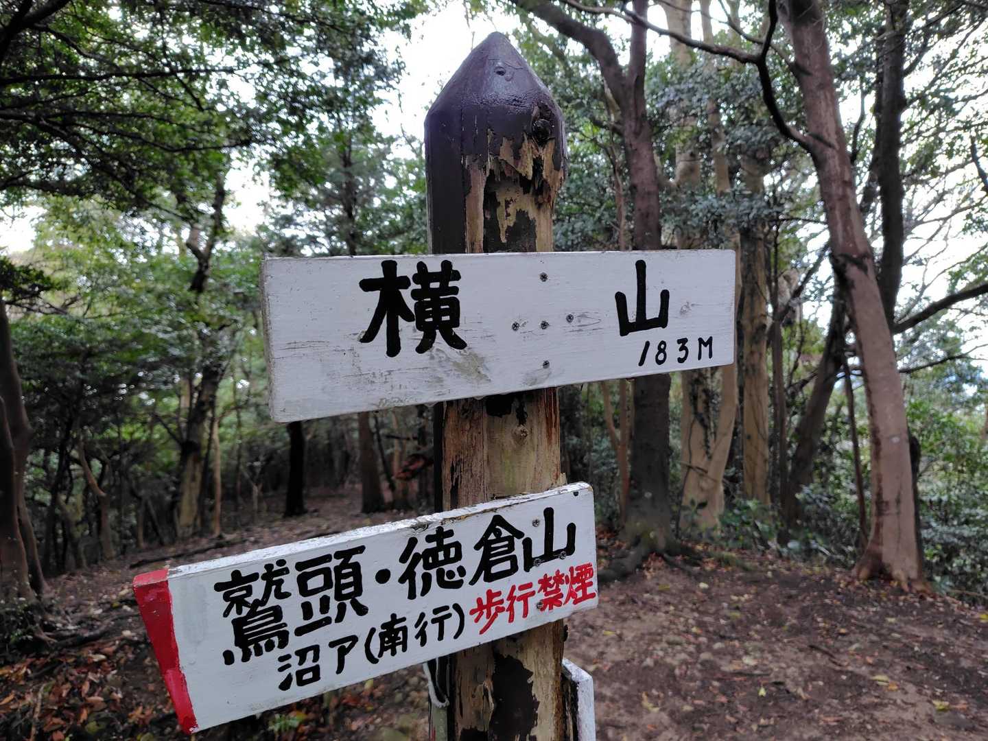 テンションだだ下がりのプニを引き連れ縦走再開🫠