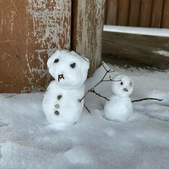 誰かが作った⛄️雪だるま親子⁈を発見！

松倉シンボル広場にて٩(^‿^)۶