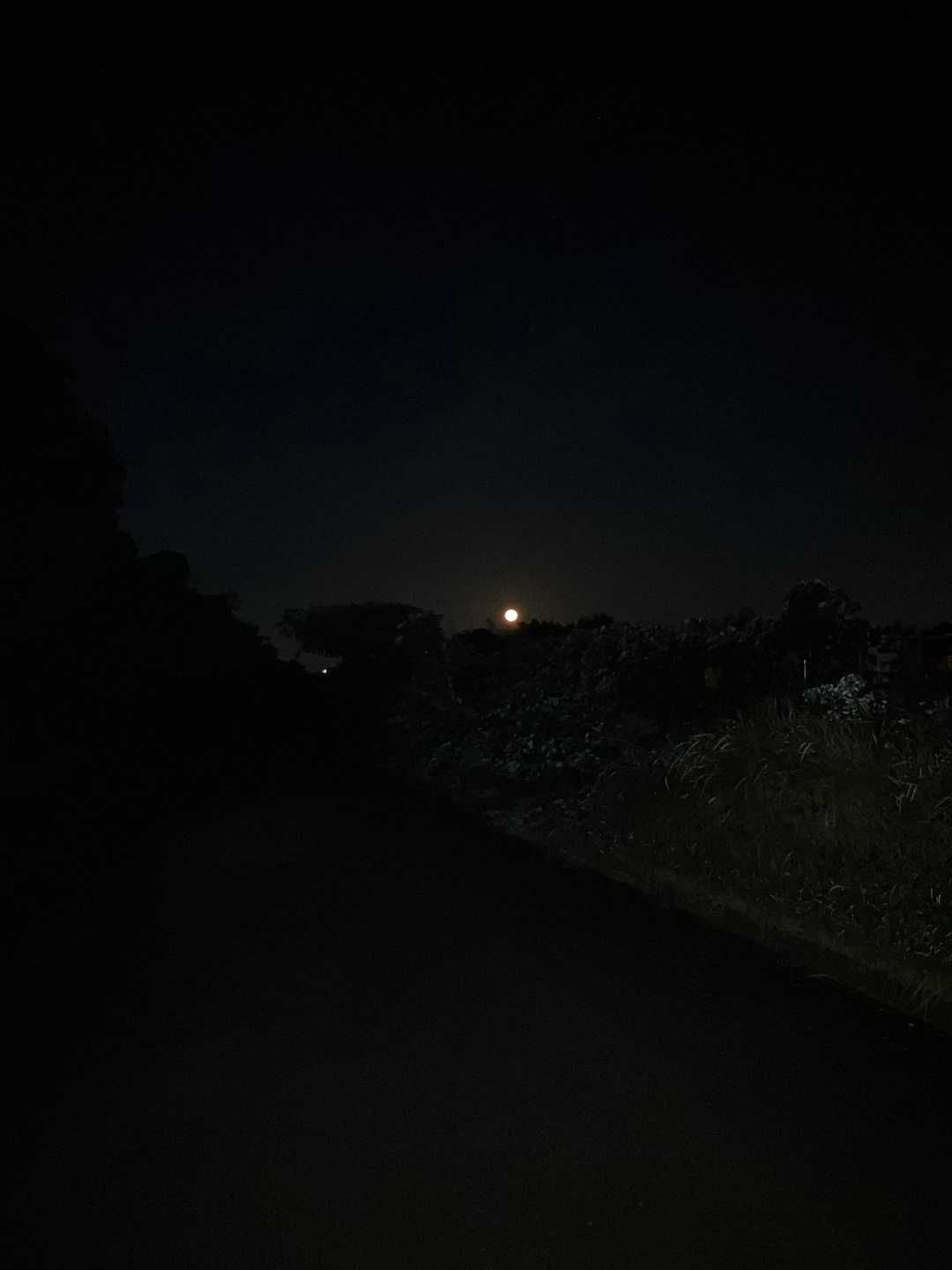 西空に沈む手前　🌕