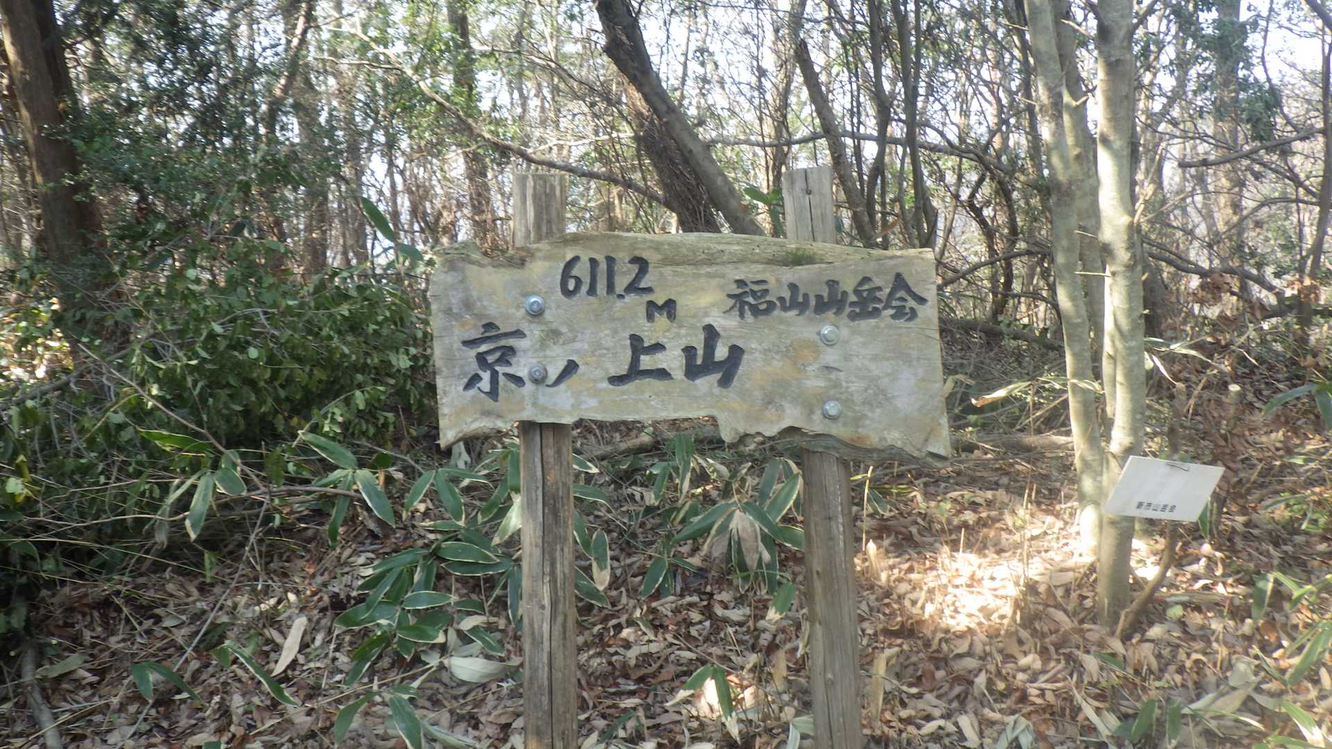 京ノ上山 往復コースの写真