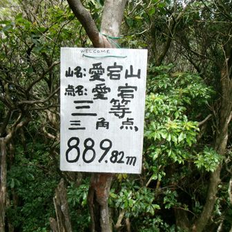 少し判りにくい場所だがYouTubeで勉強していたのでスムーズに行けた