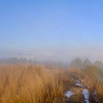 笠形山への縦走路

仙人ハイクへの道・・・
2000以上の累積標高・・・
私には無理