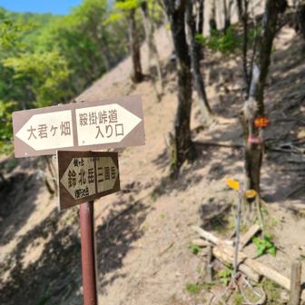 ここからはずーっと狭くて滑りやすいトラバース道が続く気をつけて降りよう