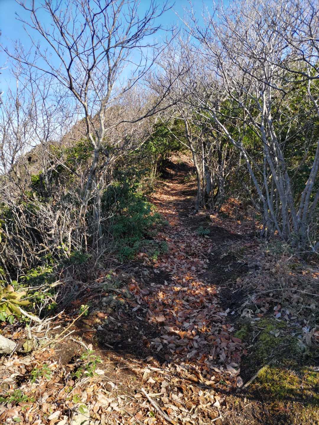少し歩きやすくなった🚶