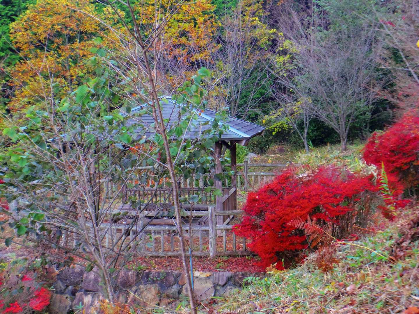 八尾山-亀ヶ岳 周回コースの写真