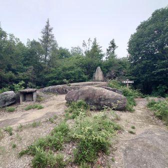 ようやく…高鳥居山…標高164ｍ…に登頂…狸岩山から長かった…