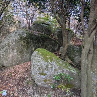 巨石さん達