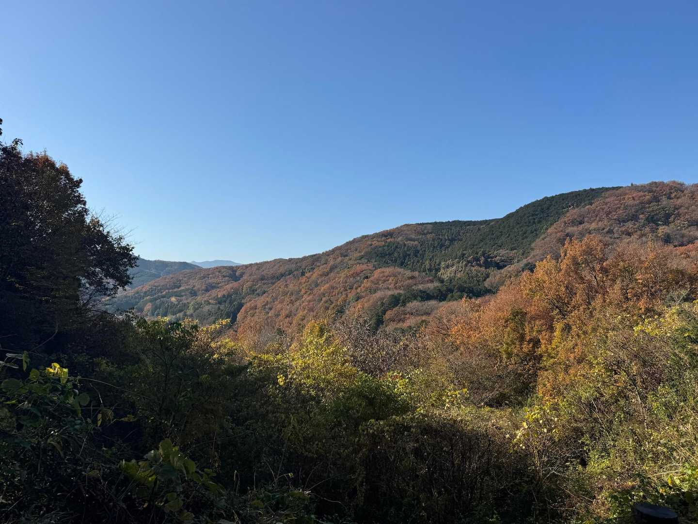登山口からの景色
後は駐車場に戻るだけ🚗