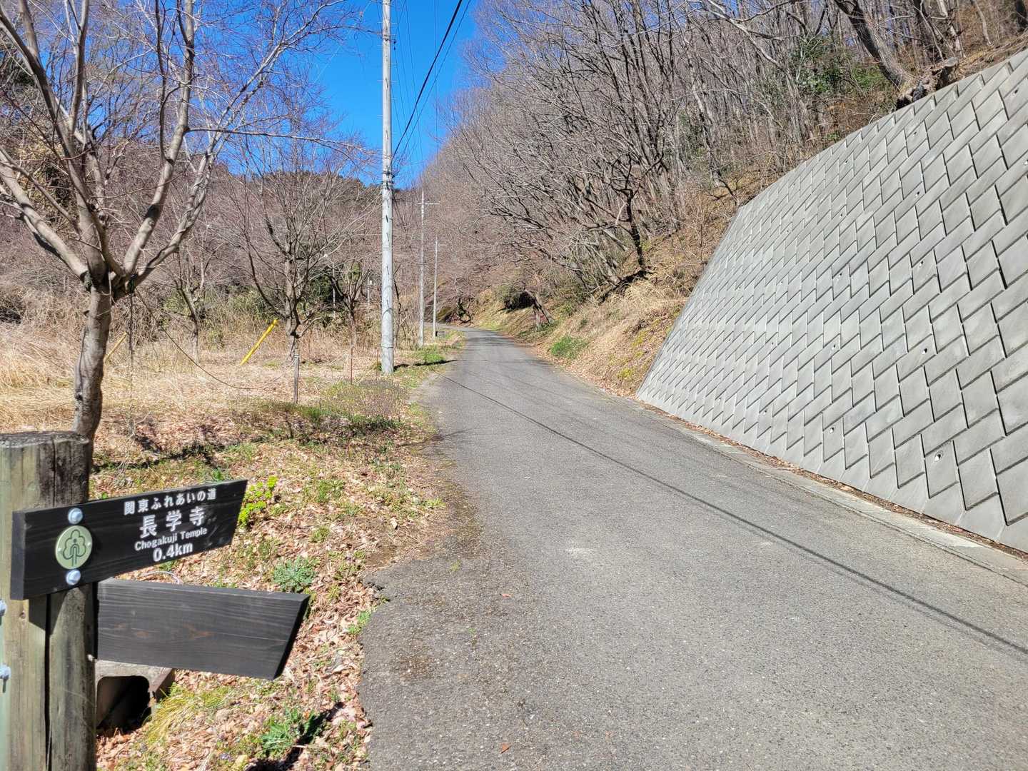長学寺からのルートを選択🚶