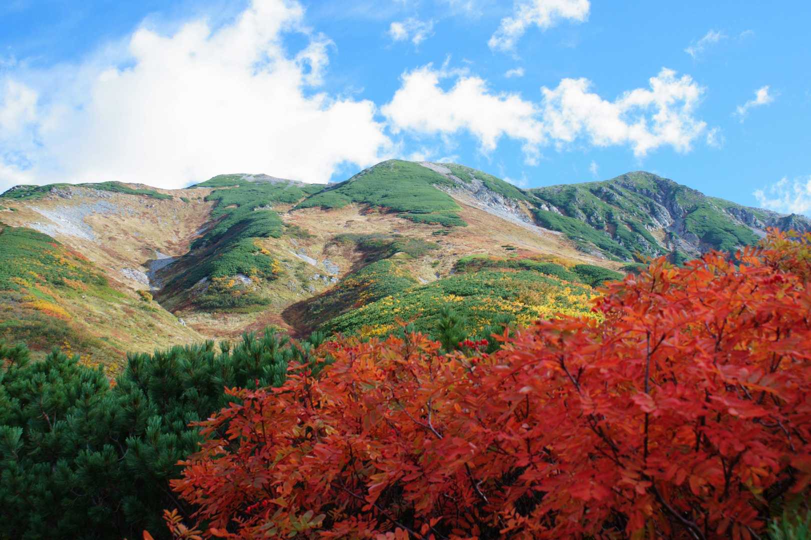 室堂登山口 周回コースの写真
