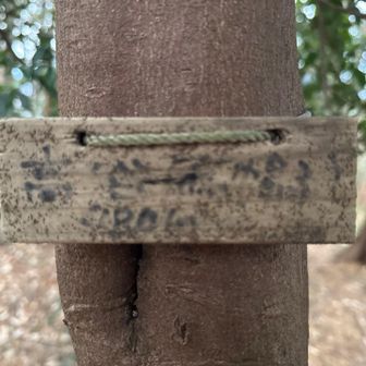 梅ヶ峰登頂480m
YAMAP地図はずれています🧐