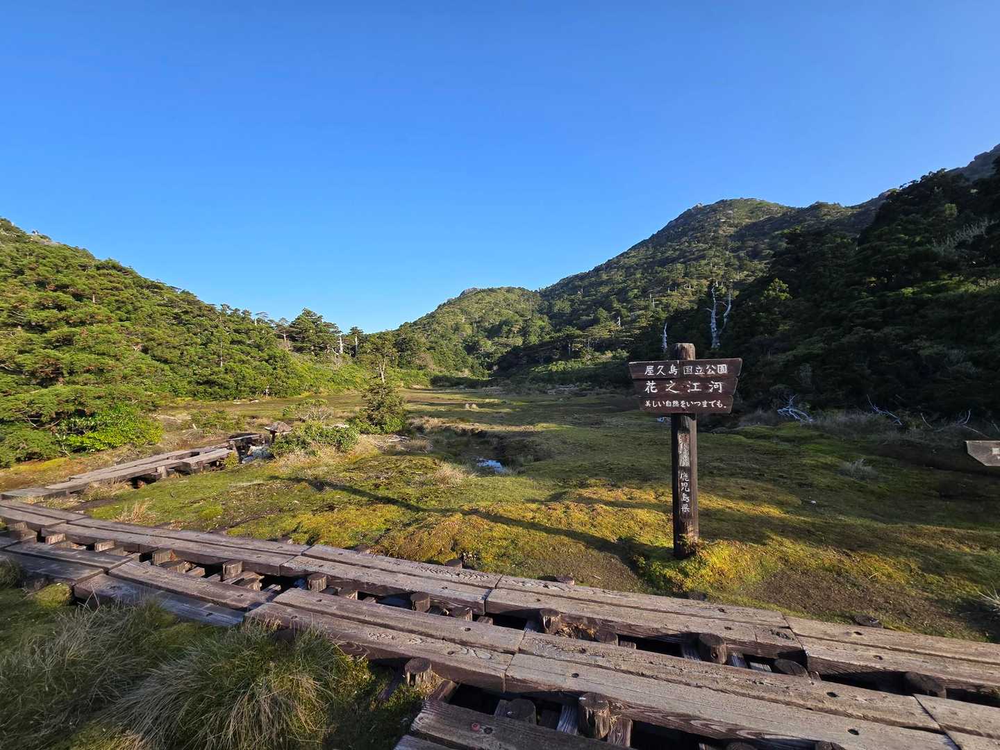 高層湿原の花之江河に到着