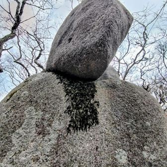 落ちてきそう飛び出てる