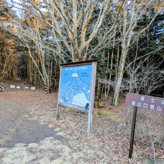 🅿️前の道路を渡ってスグの所に登山口有り…　須山口の富士登山道を使って、上の方に向かいます…　ココら辺はいろんなルートがあるんですが、標識🚏がしっかりしてるんで〜助かります…🙏
