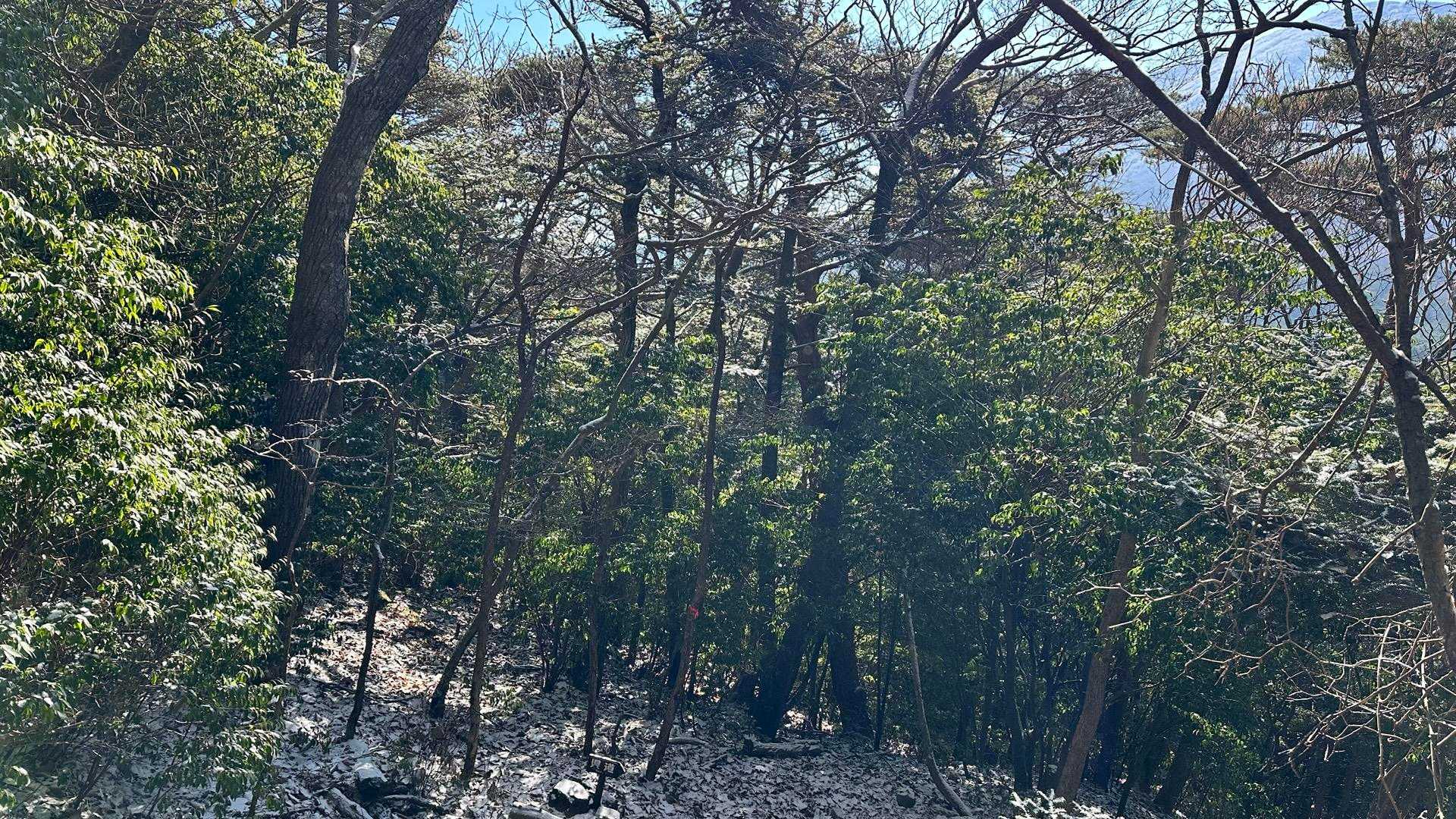 ダイヤモンドダストが舞い散る〜✨
ってか📸撮ったけど写ってない😅