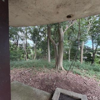 前出の山頂標は、東屋奥の正面にある樹にあります